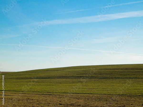 Fototapeta Green field on a background of blue sky