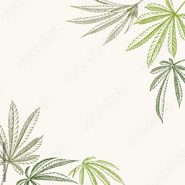 Fototapeta Vector outline corner background of hemp plant on a beige square cannabis texture