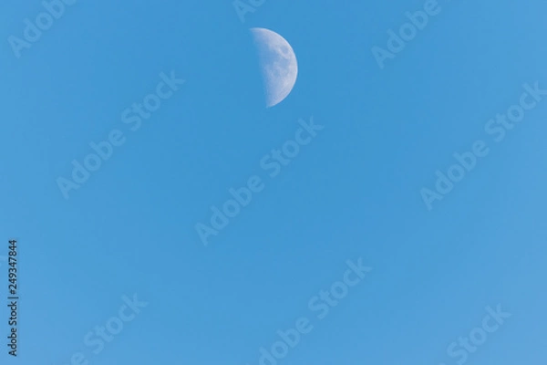 Obraz Half moon on a clear blue sky