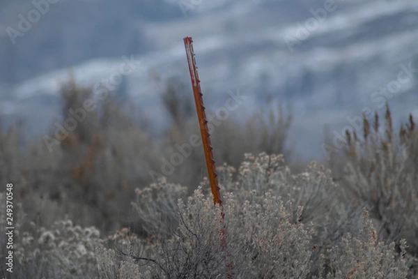 Fototapeta Abandoned Post