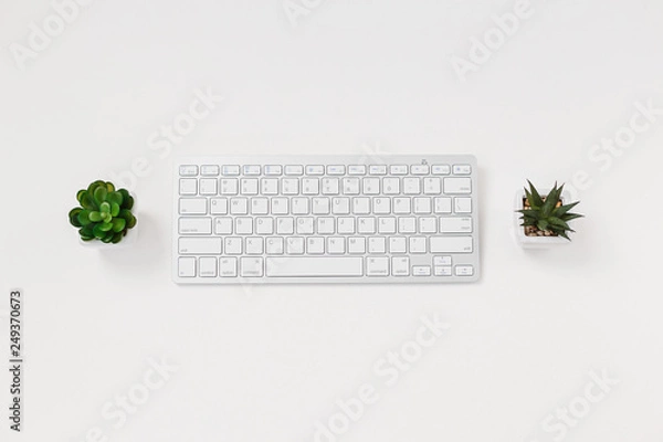 Fototapeta Computer keyboard and succulent flower isolated on white textured background
