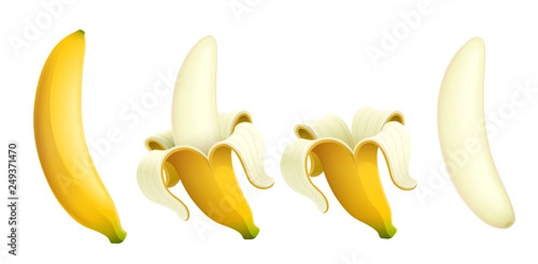 Fototapeta Dojrzały banan. Owoce tropikalne oczyszczone. Naturalny produkt organiczny. Zdrowe jedzenie. Letni posiłek. Na białym tle. Ilustracja wektorowa Eps10.