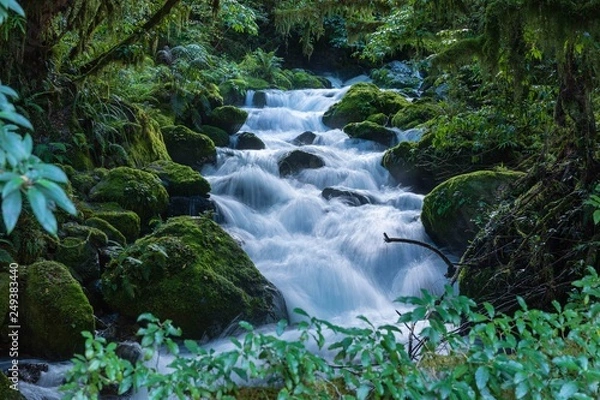 Obraz Somewhere in Milford