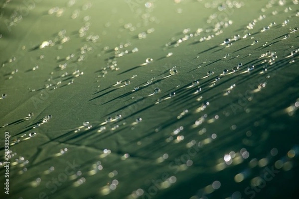 Obraz Waterdrop Shadows