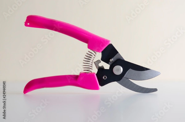 Obraz pruning shears in light background
