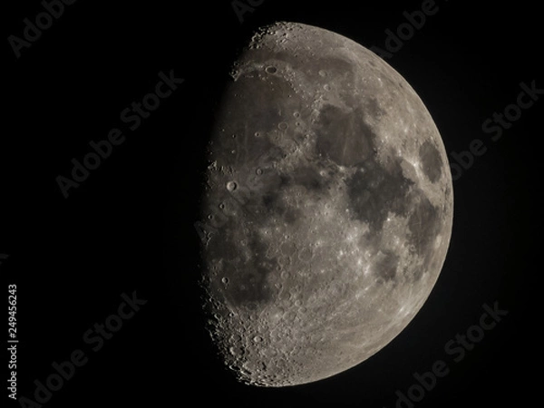 Obraz The moon close-up