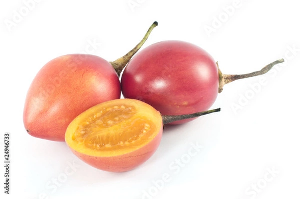 Obraz Tamarillo or tomate de arbol (Solanum betaceum)