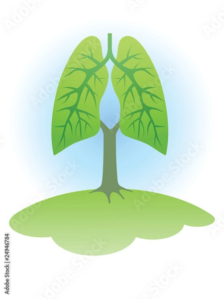 Fototapeta Tree-Langs