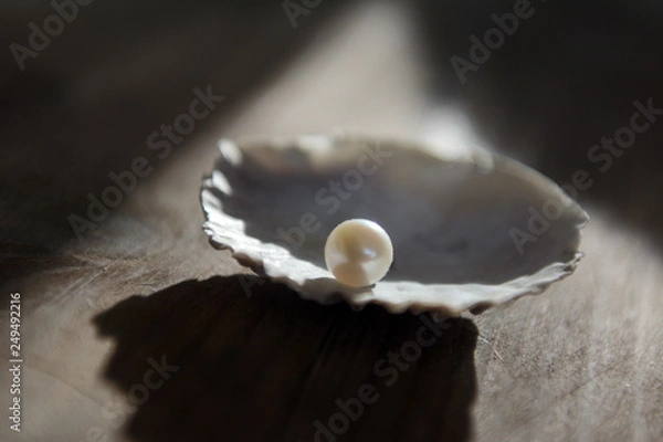 Fototapeta a lit pearl lies on the edge of the shell