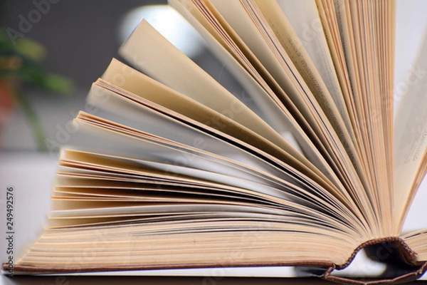 Obraz Opened book. Fan pages