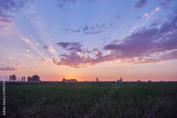 Fototapeta sky at sunset with red-purple clouds in an open green field