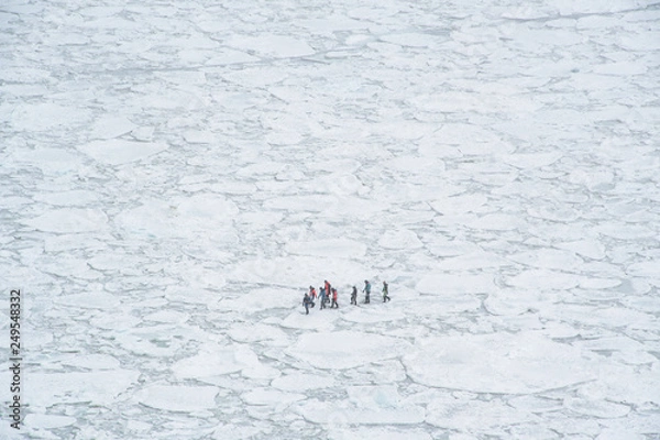 Fototapeta 冬の知床　流氷ウォーク　オホーツク海の流氷の上を歩くアクティビティ（北海道・斜里町・ウトロ）
