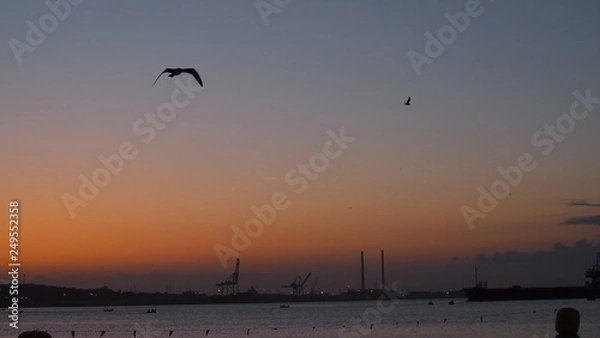 Fototapeta OLYMPUS DIGITAL CAMERA