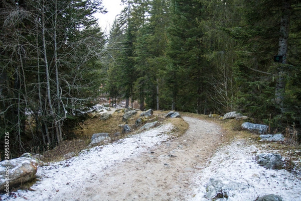 Fototapeta Parc alpha