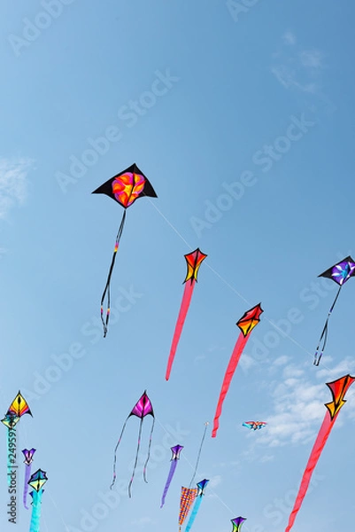Fototapeta Kites with blue sky and white clouds