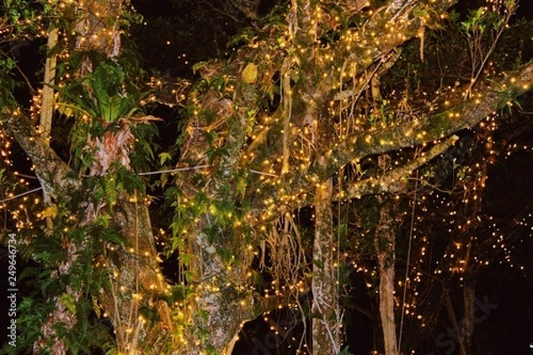 Obraz Processed with VSCO with au5 preset