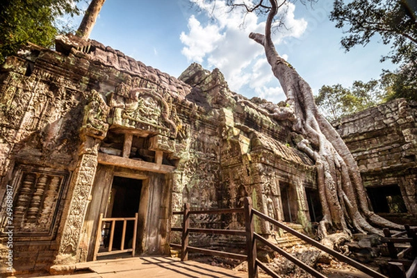 Obraz Ta Prohm temple in cambodia