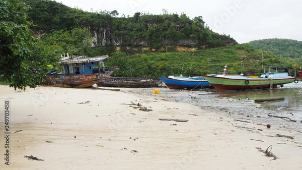 Fototapeta OLYMPUS DIGITAL CAMERA