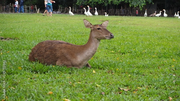 Fototapeta OLYMPUS DIGITAL CAMERA