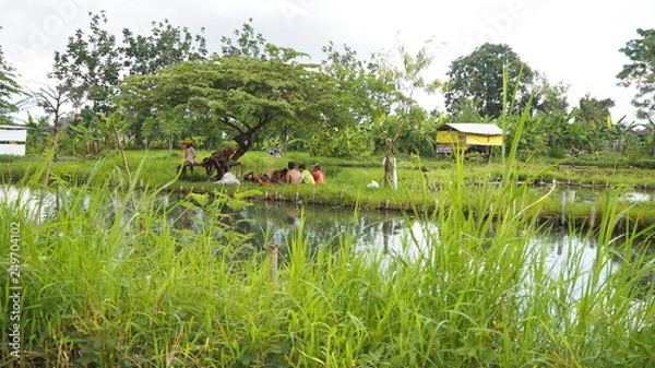 Fototapeta OLYMPUS DIGITAL CAMERA