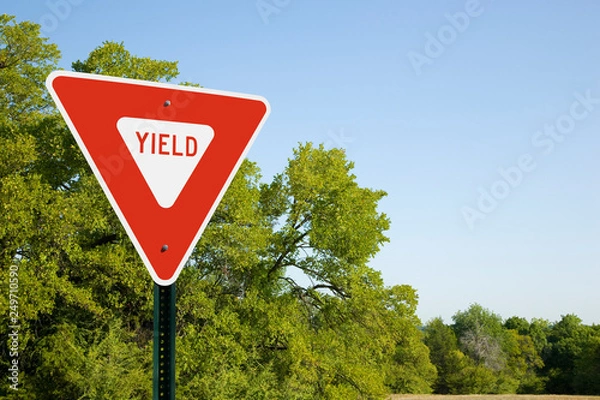 Fototapeta Yield Sign With Green Trees