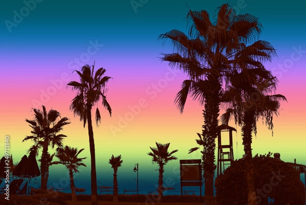 Fototapeta Palm trees at dusk. Colorful background. Summer night.