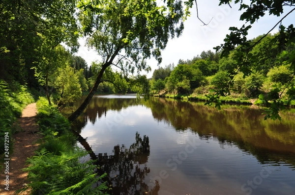 Obraz Miroir des Fées