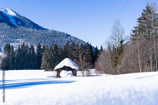 Fototapeta Wintertime