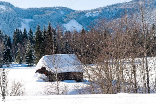Fototapeta Wintertime