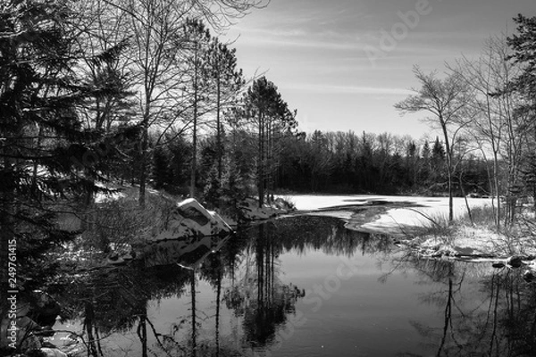 Fototapeta reflection of trees in the water in winter, ice, snow