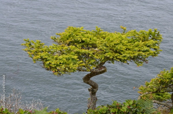 Fototapeta On the edge