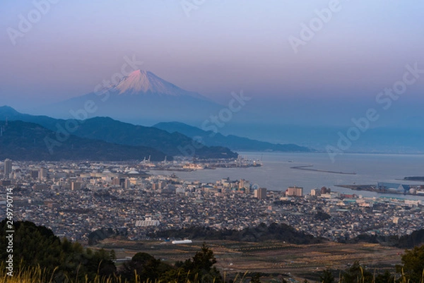 Obraz Mt Fuji and the ocean