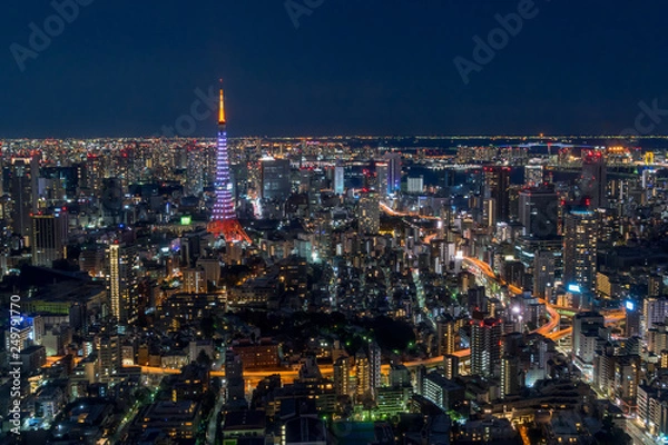 Obraz Tokyo Tower and cityscape