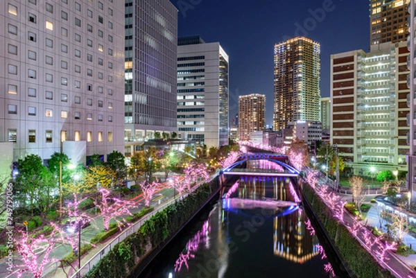 Obraz Tokyo