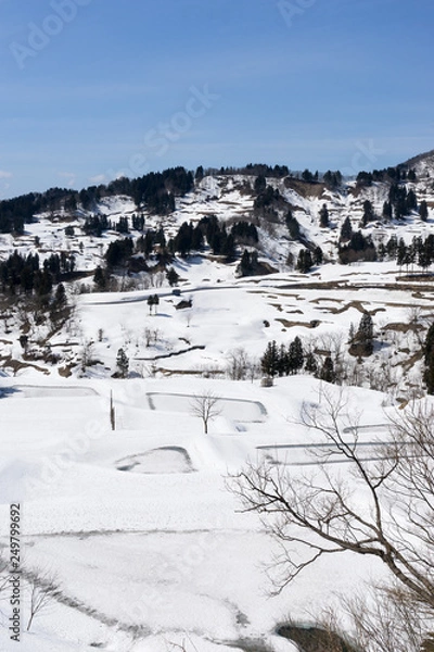 Fototapeta 雪に埋もれる棚田