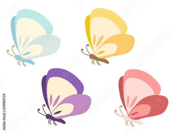 Obraz ちょうちょ4