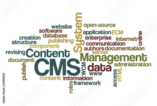 Obraz CMS Content Management System - Word Cloud