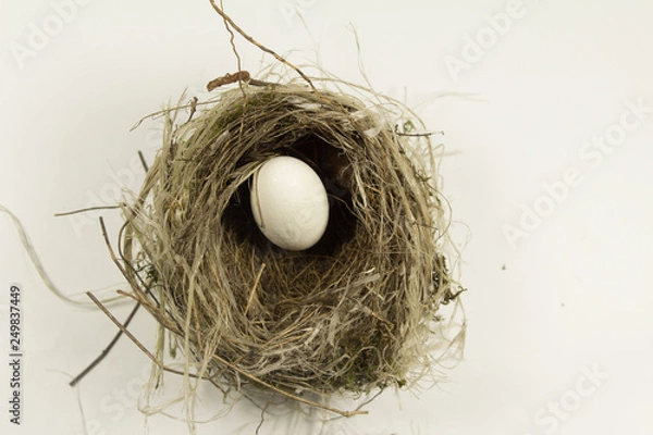 Fototapeta Eggs in nest. a bird egg in a nest