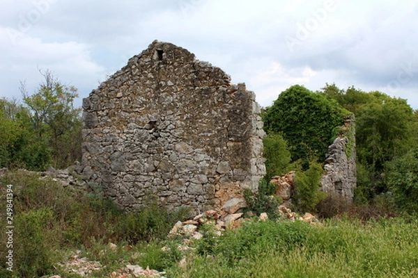 Fototapeta Traditional stone house ruins with missing roof partially overgrown with crawler plant surrounded with dense vegetation on warm cloudy day