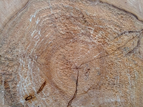 Obraz wood cut background