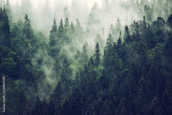 Obraz Mglisty górski krajobraz