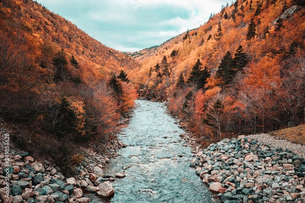 Obraz Cape Breton, Nova scotia, Canada 