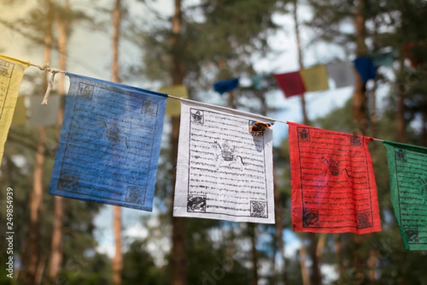 Obraz Colorful prayer flags (lungta/darcho) of Buddhist philosophy with mantra and butterfly in the wind. Soft focus with bokeh