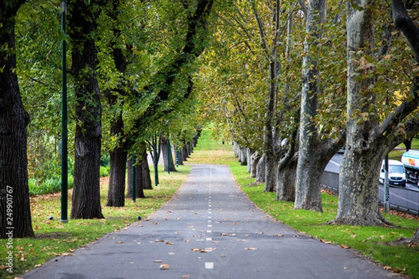 Obraz Melbourne Australia