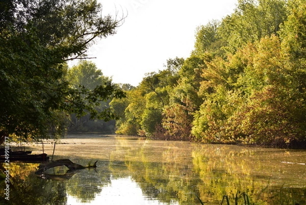 Fototapeta The calm river Sio in Hungary, Gemenc, Keselyűs