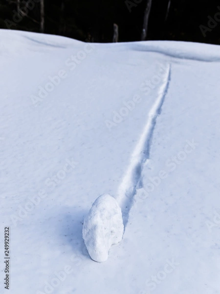 Fototapeta Snowball rolling down a slope