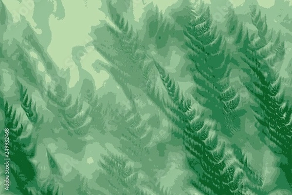 Obraz Fougere abstract background tropical and luxurious forest