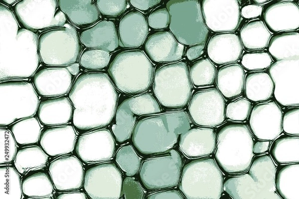 Obraz Green biological cells and membrane under the microscope