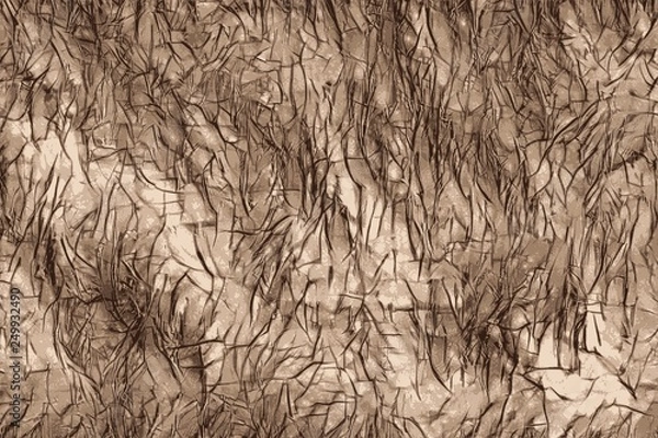 Obraz Rough hair on human scalp bald head illustration
