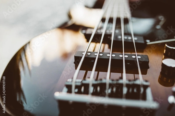 Fototapeta closeup detail of the strings of a bass